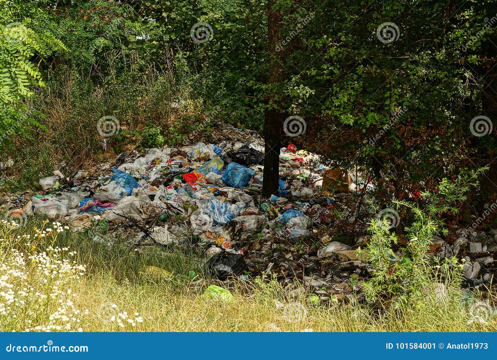 Garbage Dump among Trees and Grass in the Forest Stock Image Image of