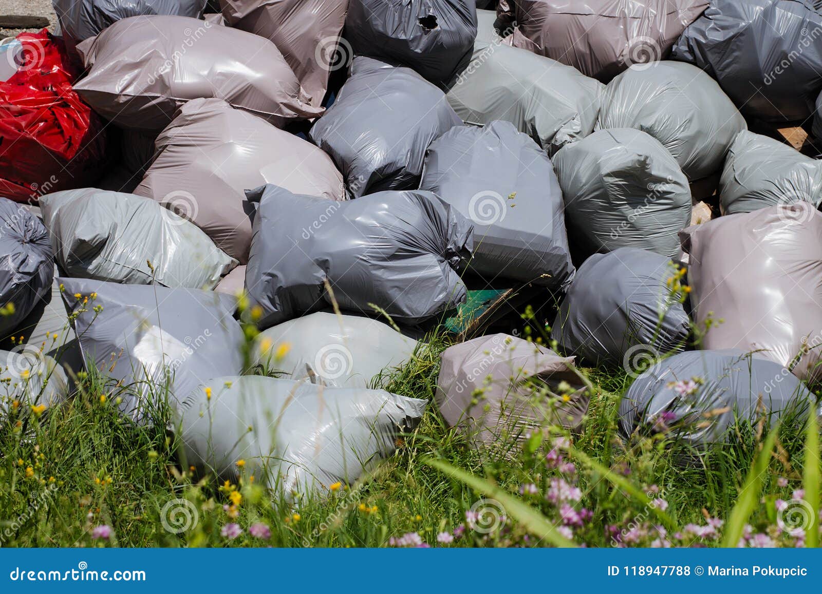 Pile of Grey Garbage Bags Dumped in Nature Stock Photo Image of odor