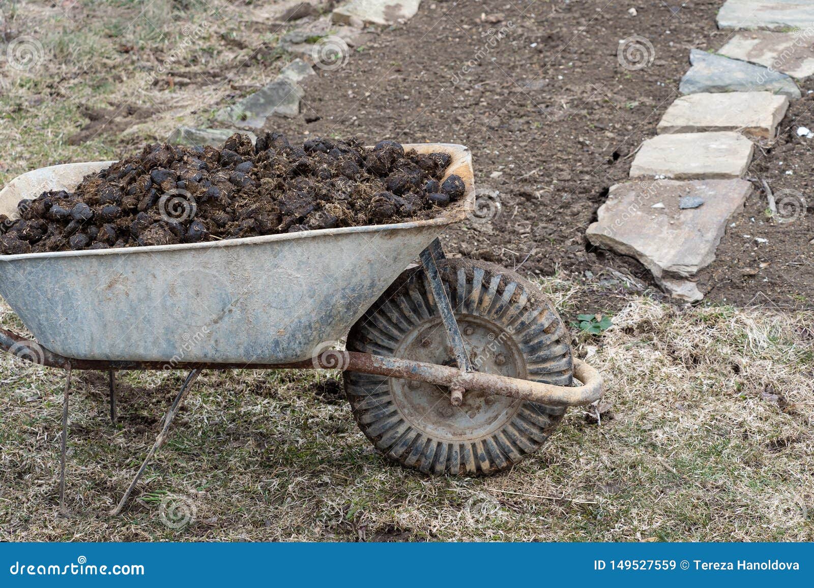 Pile Of Horse Manure On Garden Farming And Garden Work Stock