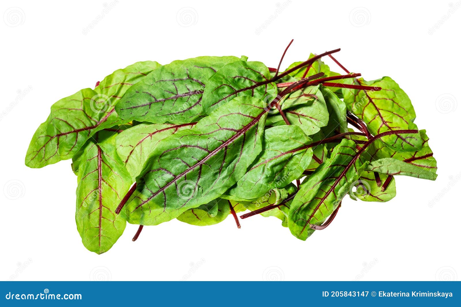 Pile of Leaves of Chard Leafy Vegetable Cut Out Stock Image Image of