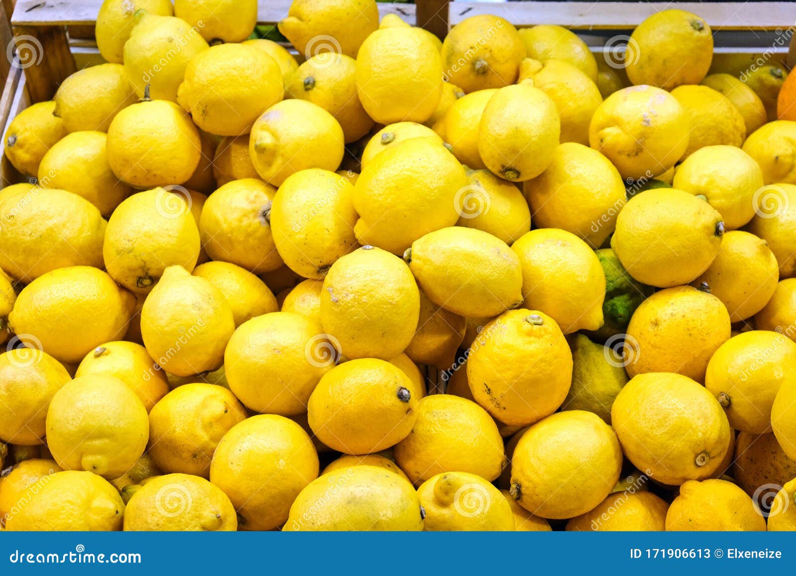 Pile of lemons for sale stock image. Image of fruit 171906613