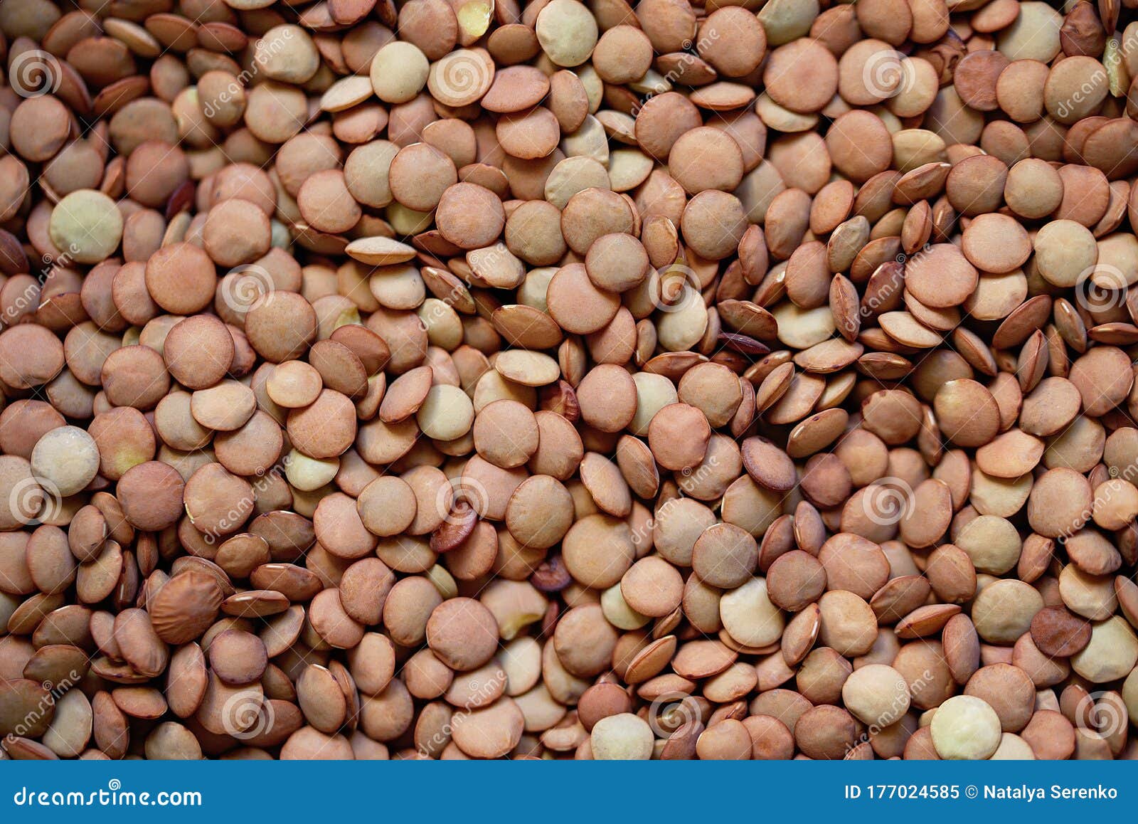 pile lentil background. top view. flat lay. vegetarian and vegan diet. high content of b vitamins in lentils. healthy superfood