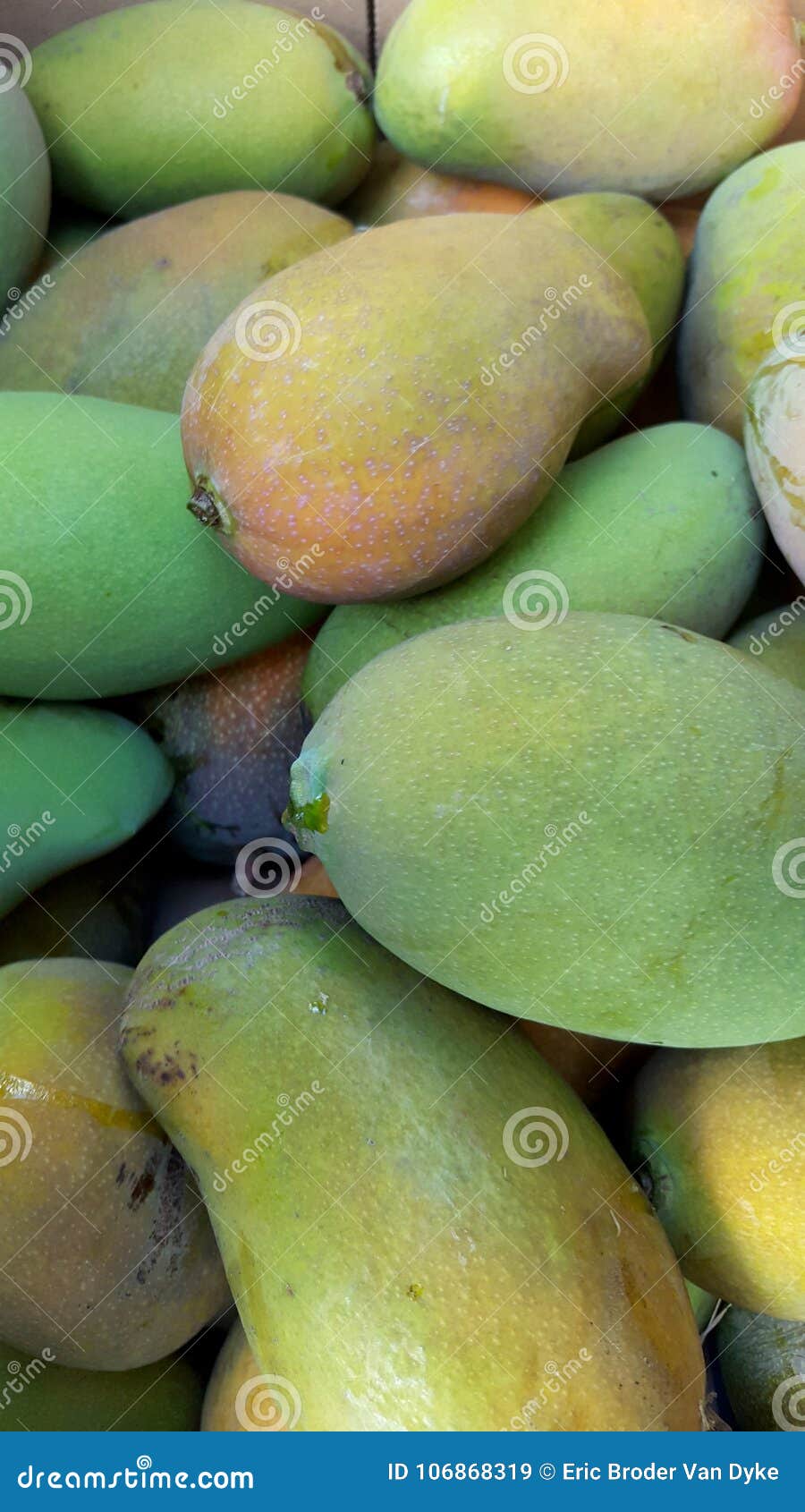 Pile of Mangos stock image. Image of snack, appetizing 106868319