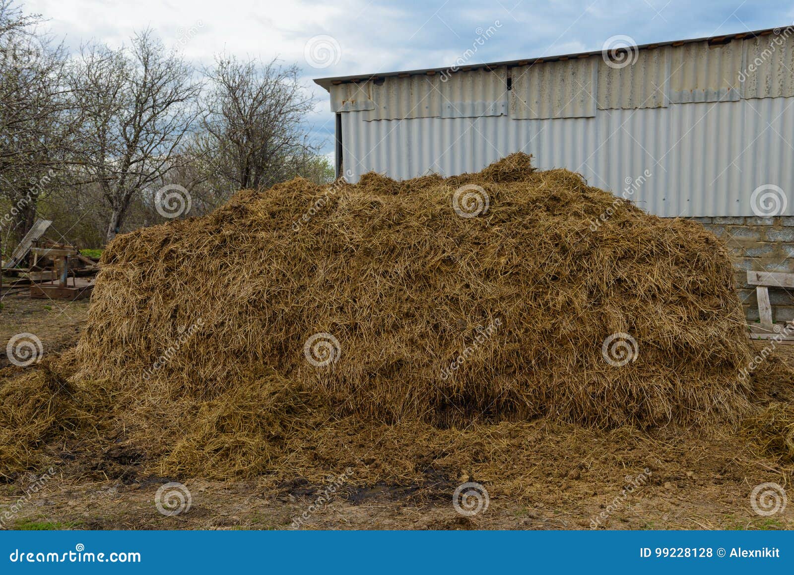 Pile of manure stock photo. Image of hill, grass, dunghill 99228128