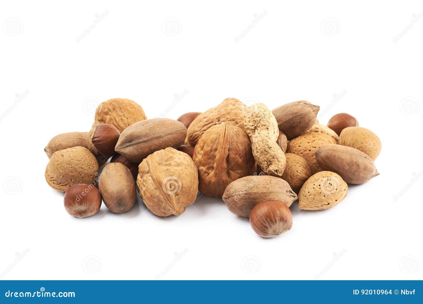 Pile of Multiple Kind of Nuts Isolated Stock Photo Image of hard