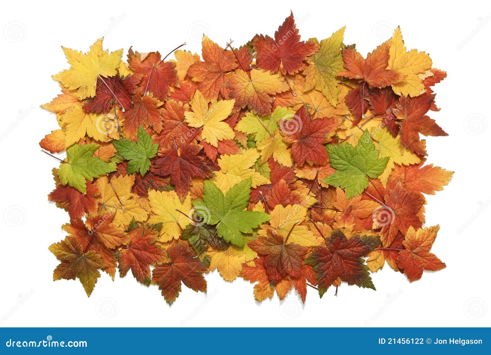 leaf pile clipart - photo #27