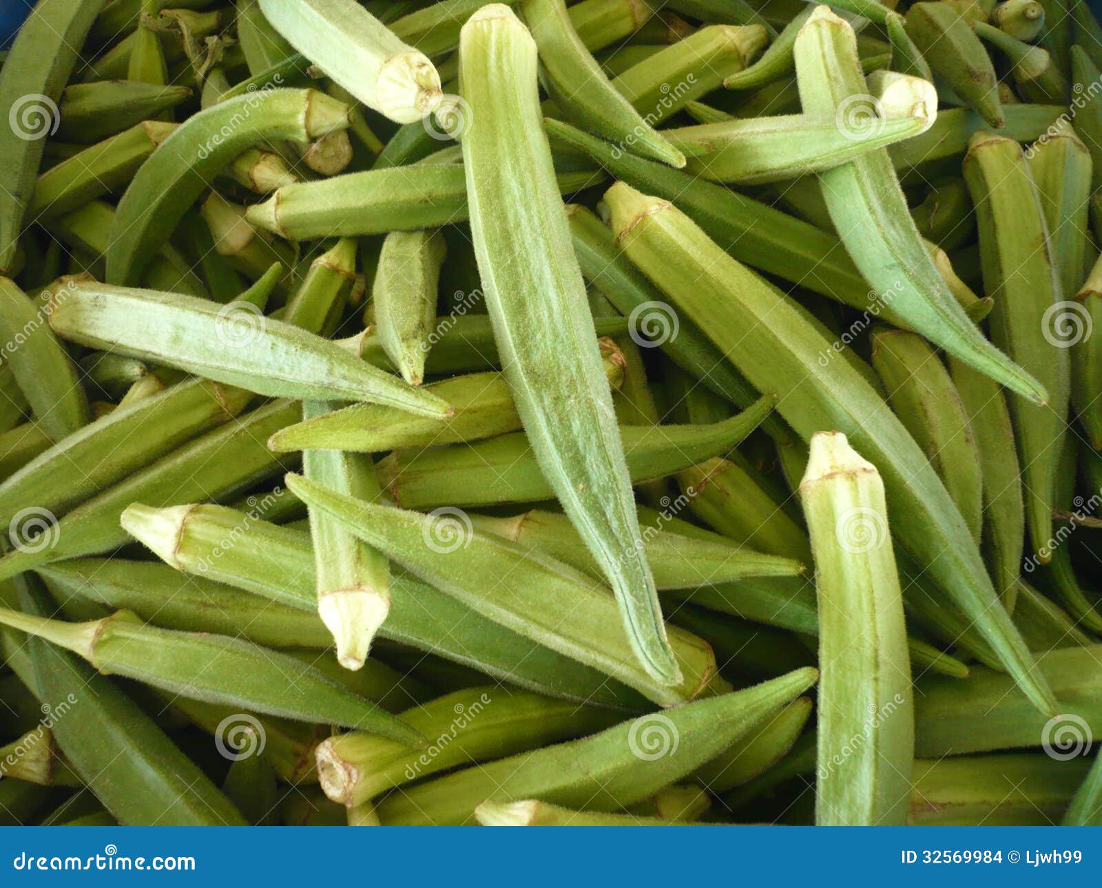 Pile of Okra Green Seed Pods Stock Photo Image of abelmoschus