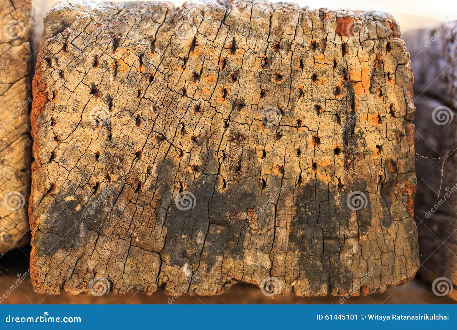 Pile of old wood logs stock image. Image of detail, circle 61445101