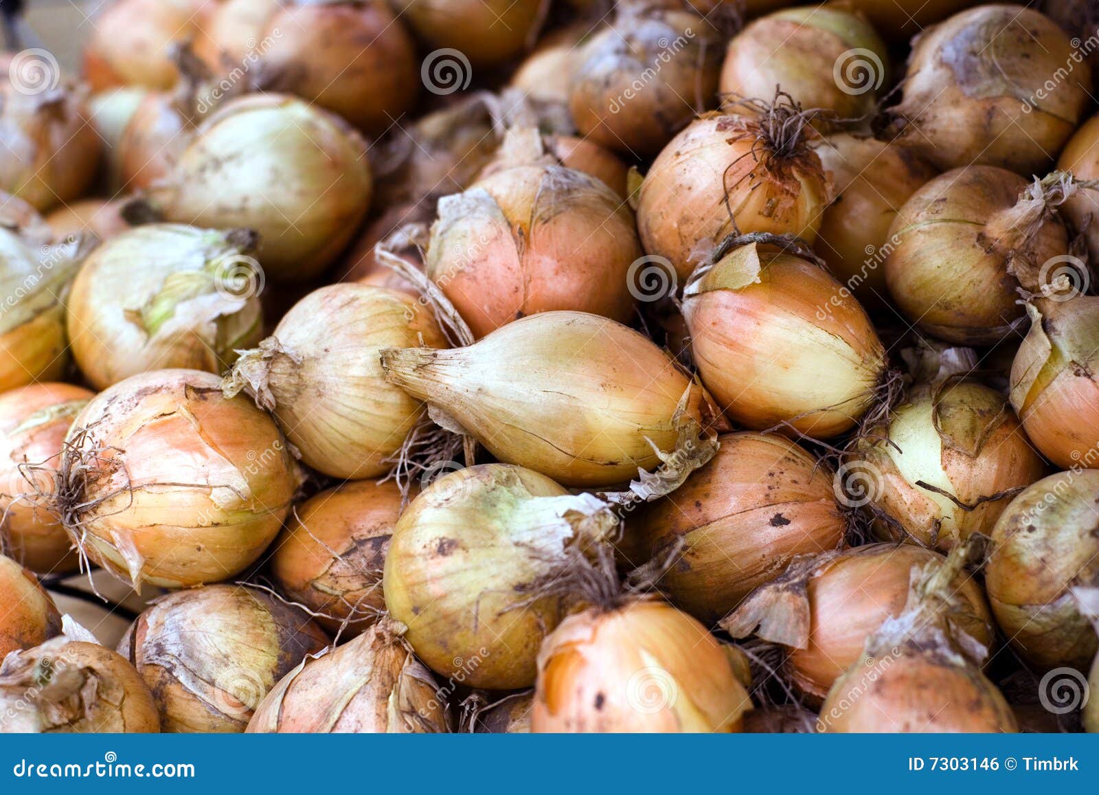 Pile of Onions stock photo. Image of crop, food, agricultural 7303146