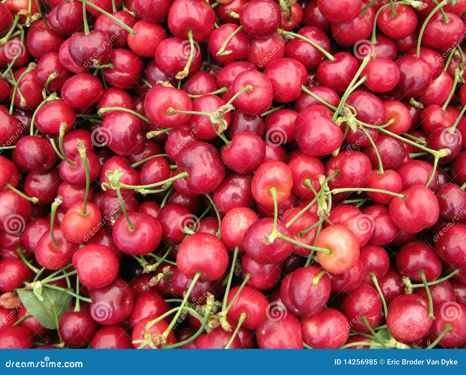 Pile of Organic Cherries stock image. Image of form, figure 14256985