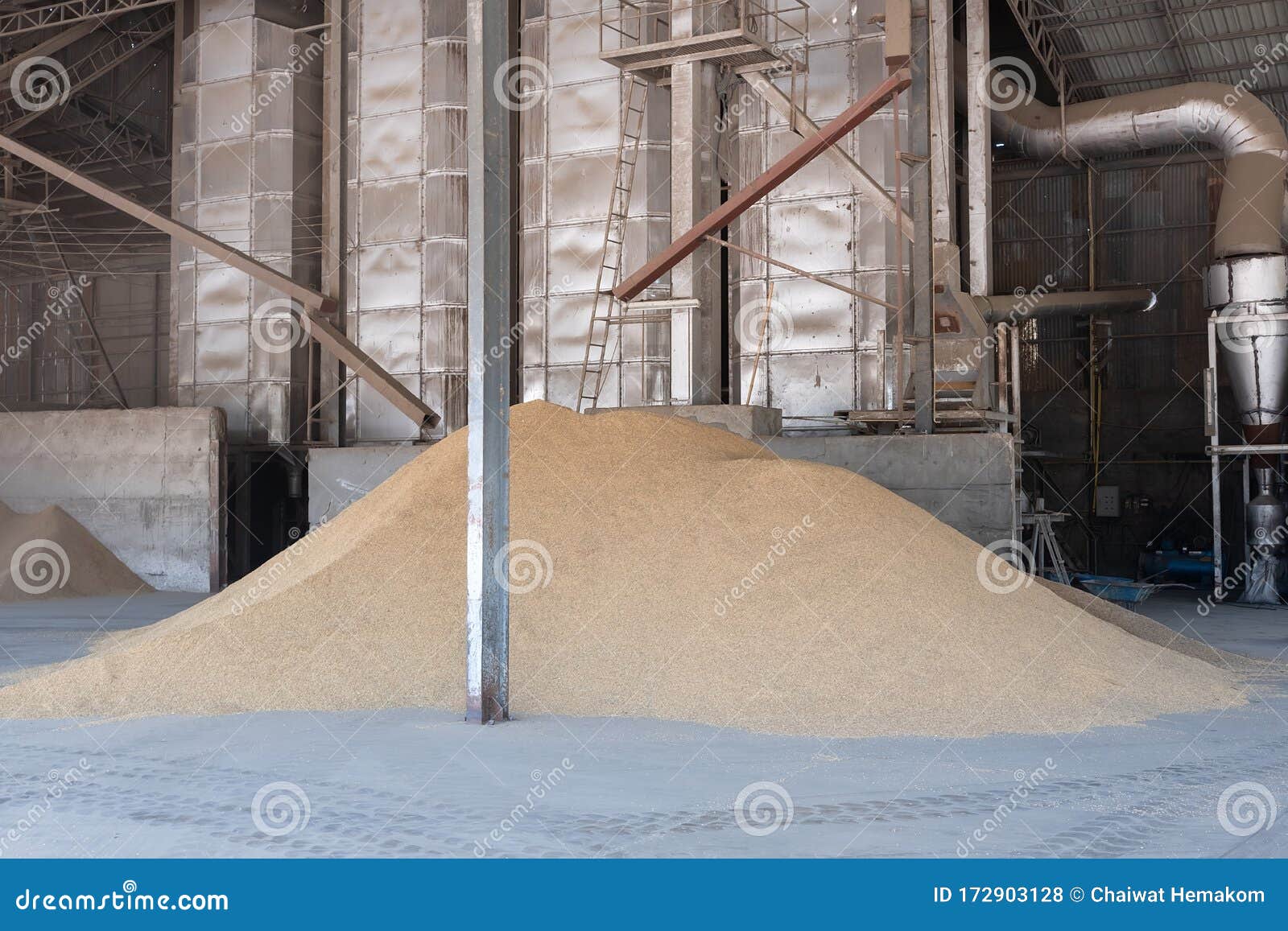Pile Paddy in the Rice Mill. To Wait To Be Polished To Rice. Rice Mill