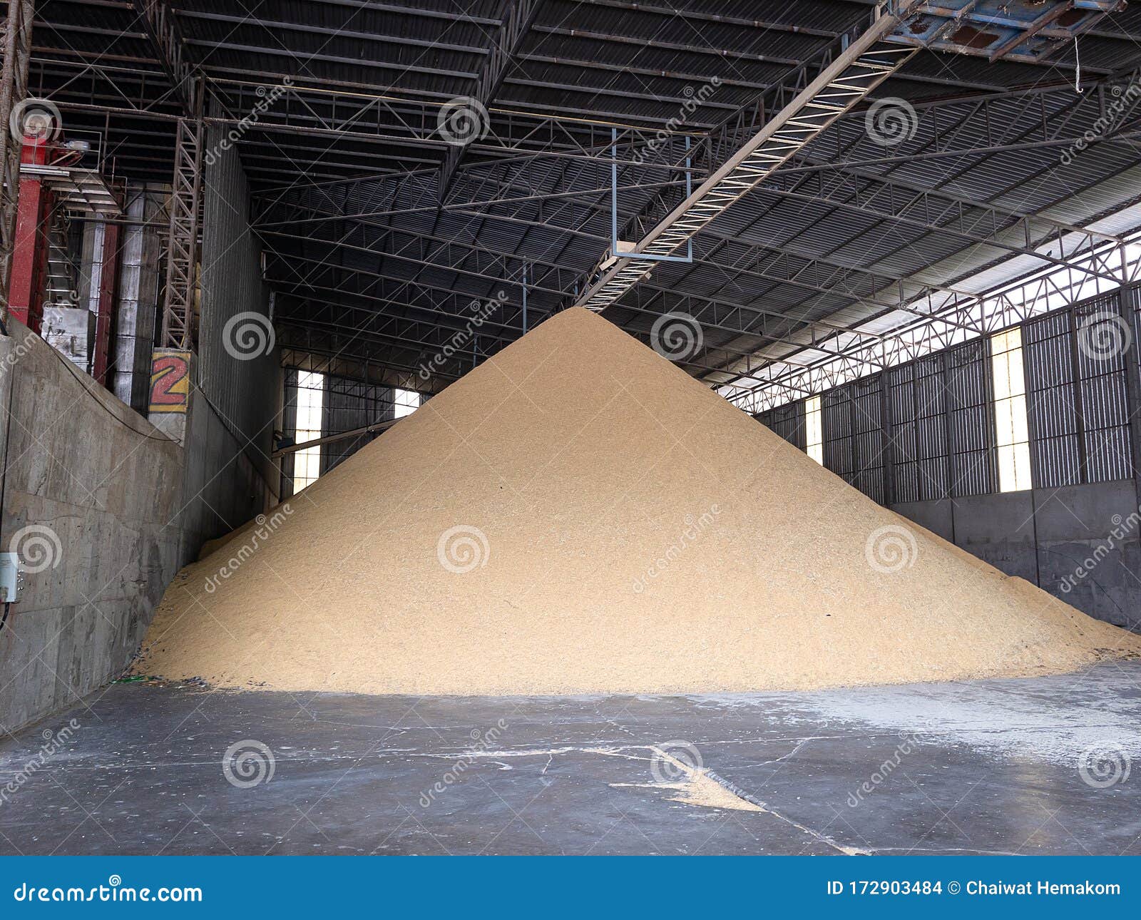 Pile Paddy in the Rice Mill. To Wait To Be Polished To Rice. Rice Mill