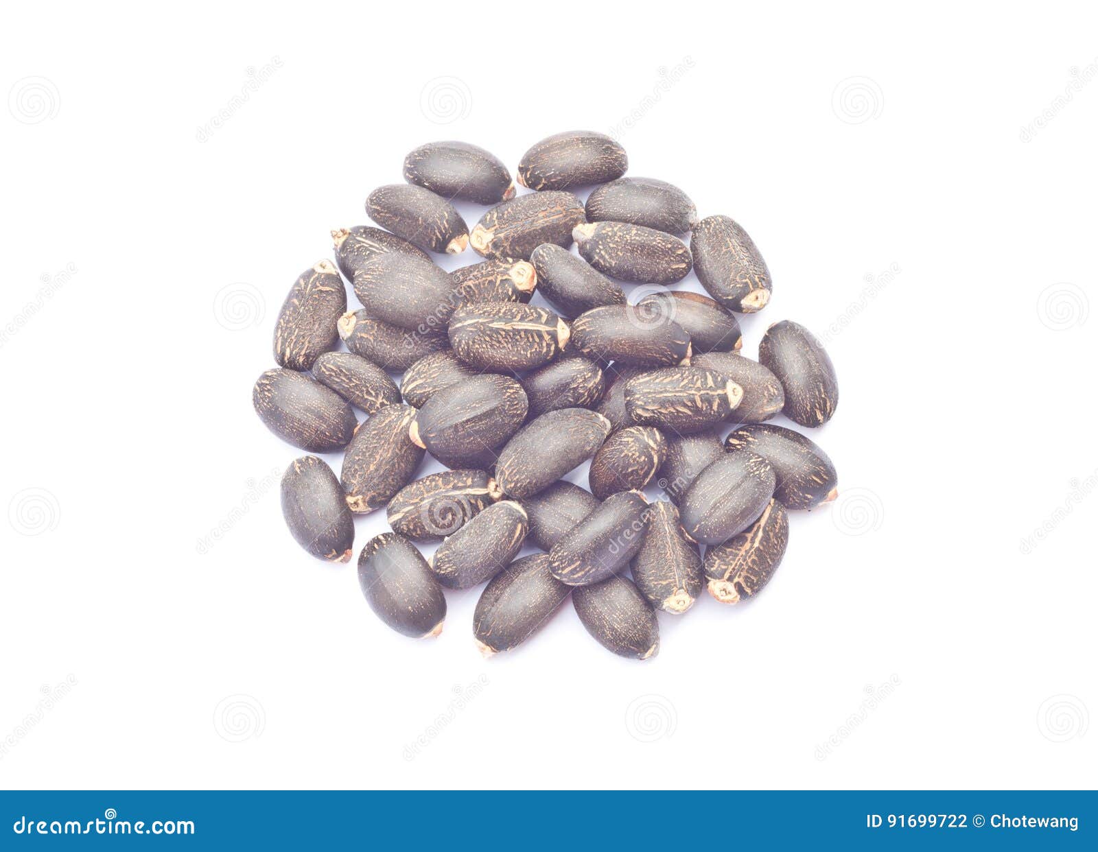 pile of physic nuts