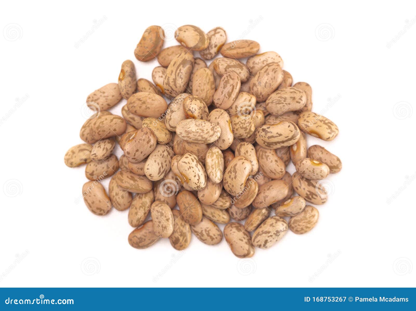 Pile of Pinto Beans Isolated on a White Background Stock Image Image of beans, macro 168753267