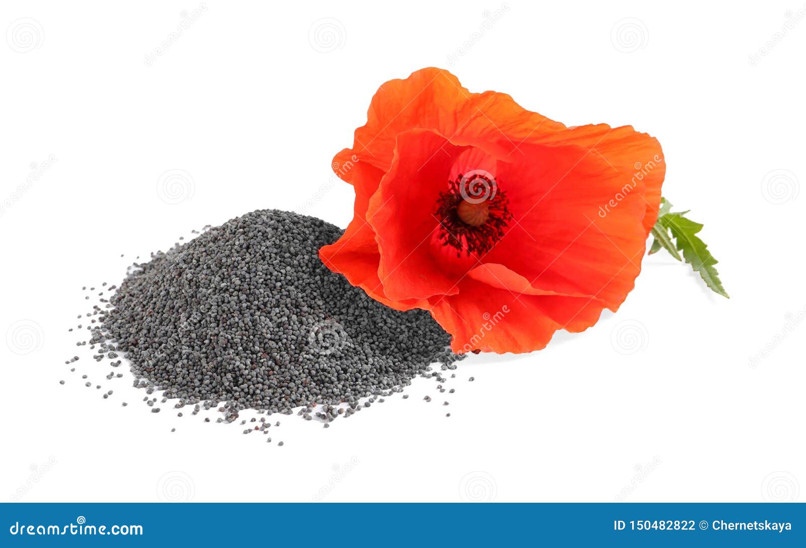 Pile of Poppy Seeds and Flower on White Stock Photo Image of culture