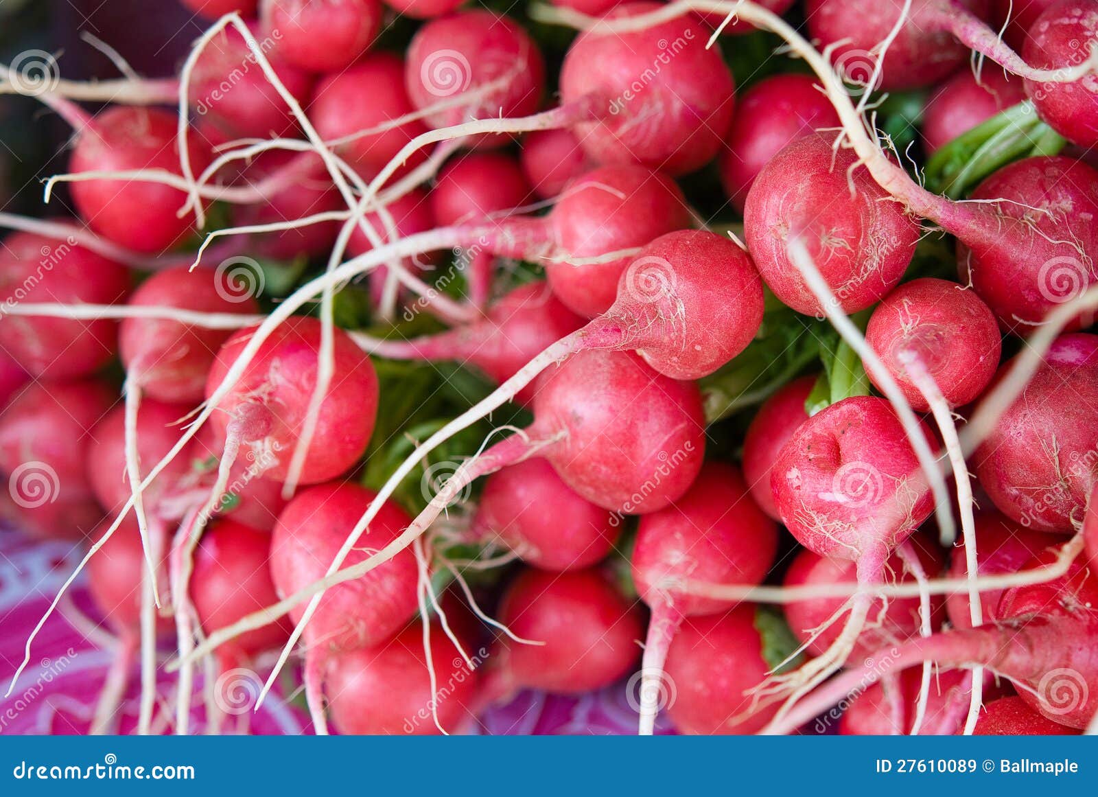 Pile of Radish stock image. Image of green, nutrition 27610089