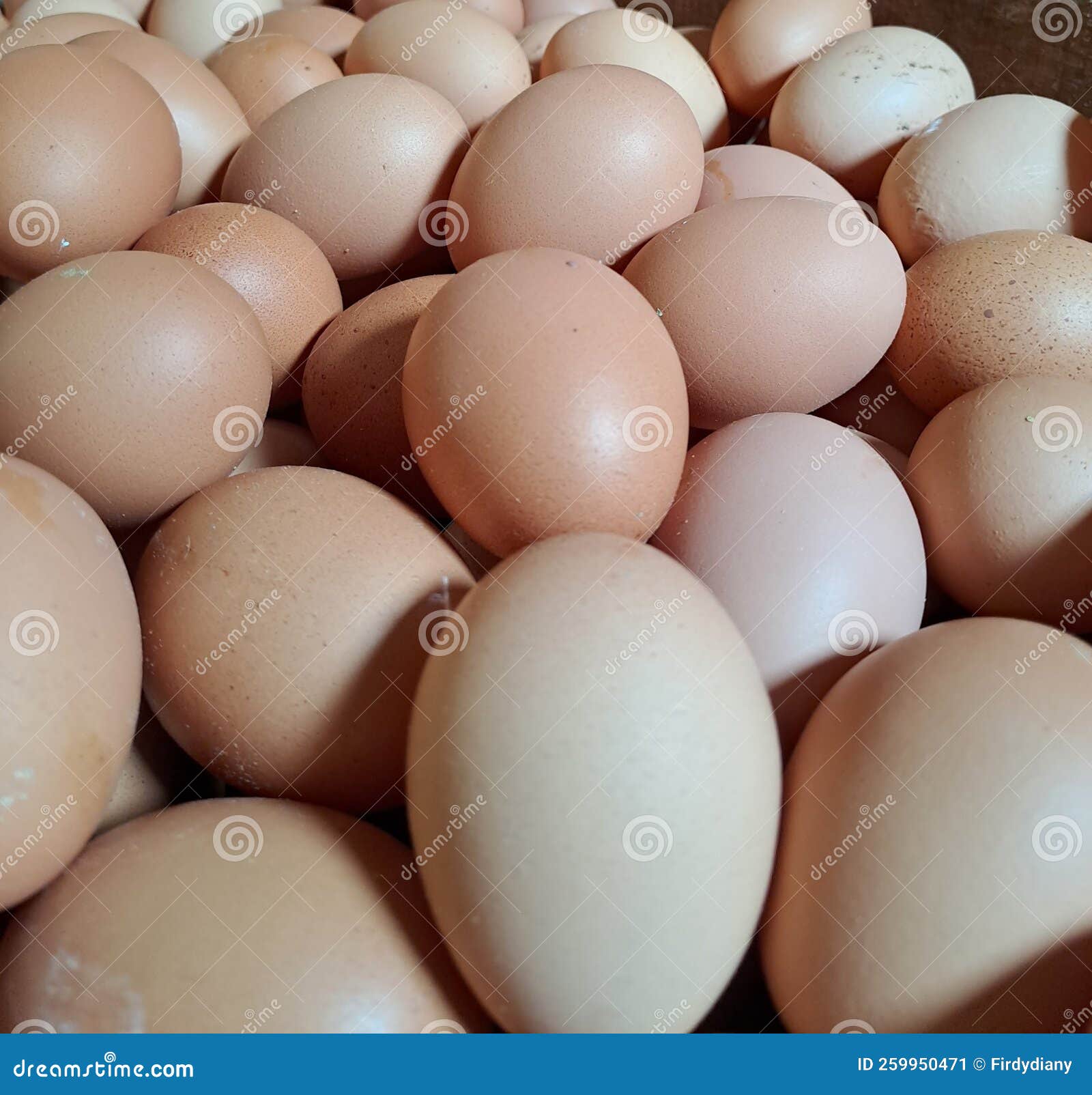Pile of raw chicken eggs stock image. Image of protein 259950471