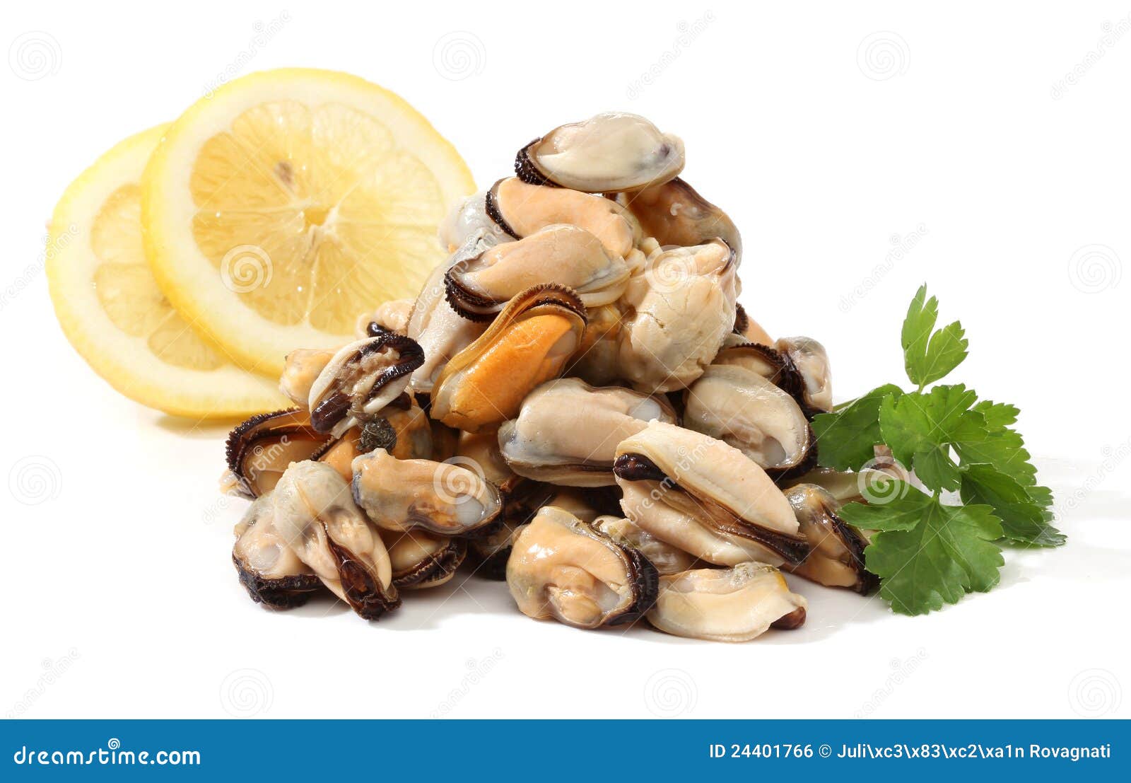 Pile of raw mussels stock photo. Image of pile, food 24401766
