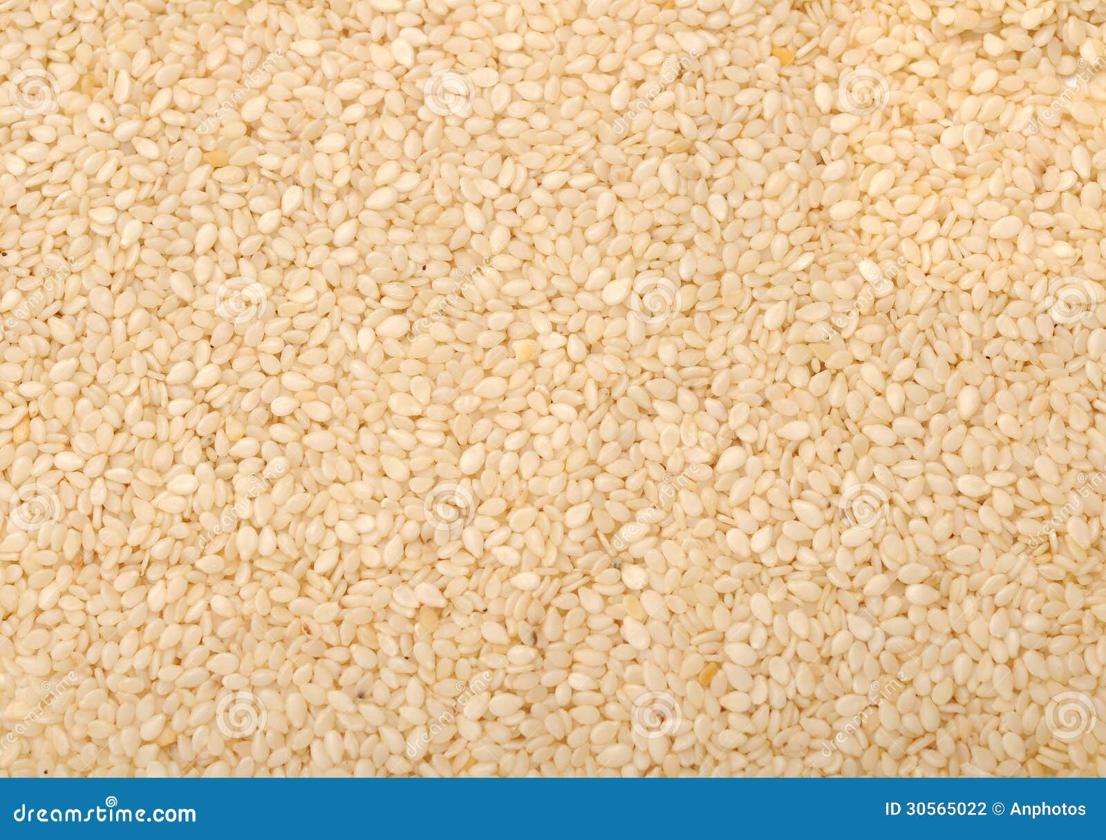 A pile of sesame seeds stock photo. Image of background 30565022