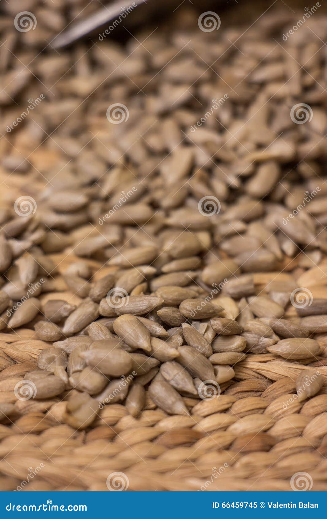 pile shelled sunflower seeds