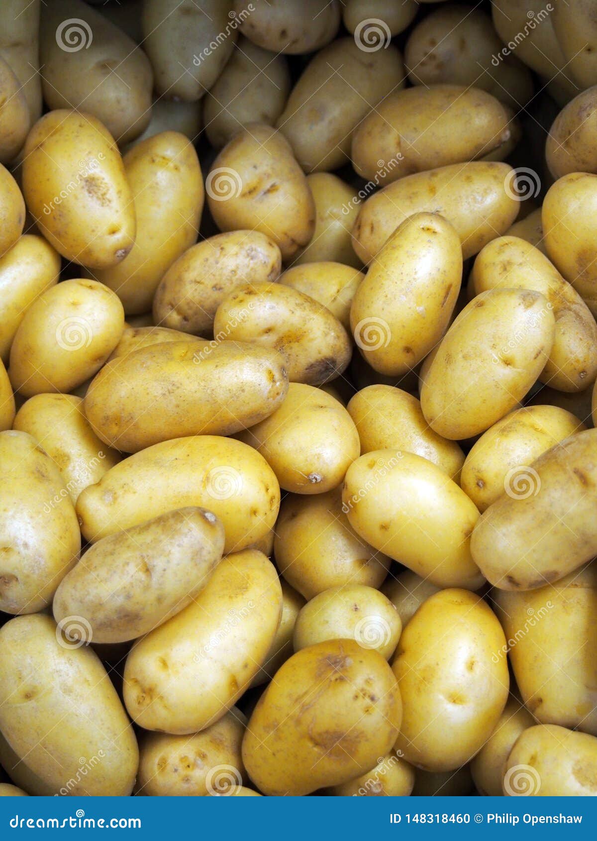 What Are Waxy Potatoes?