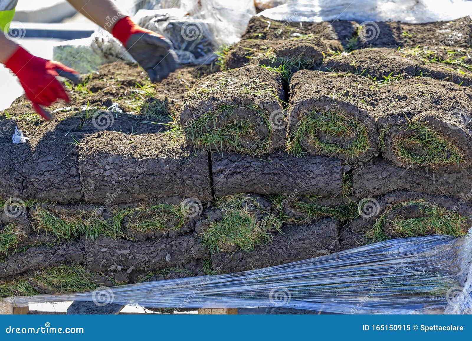 Pile of Sod Rolls for New Lawn Stock Image Image of greenery
