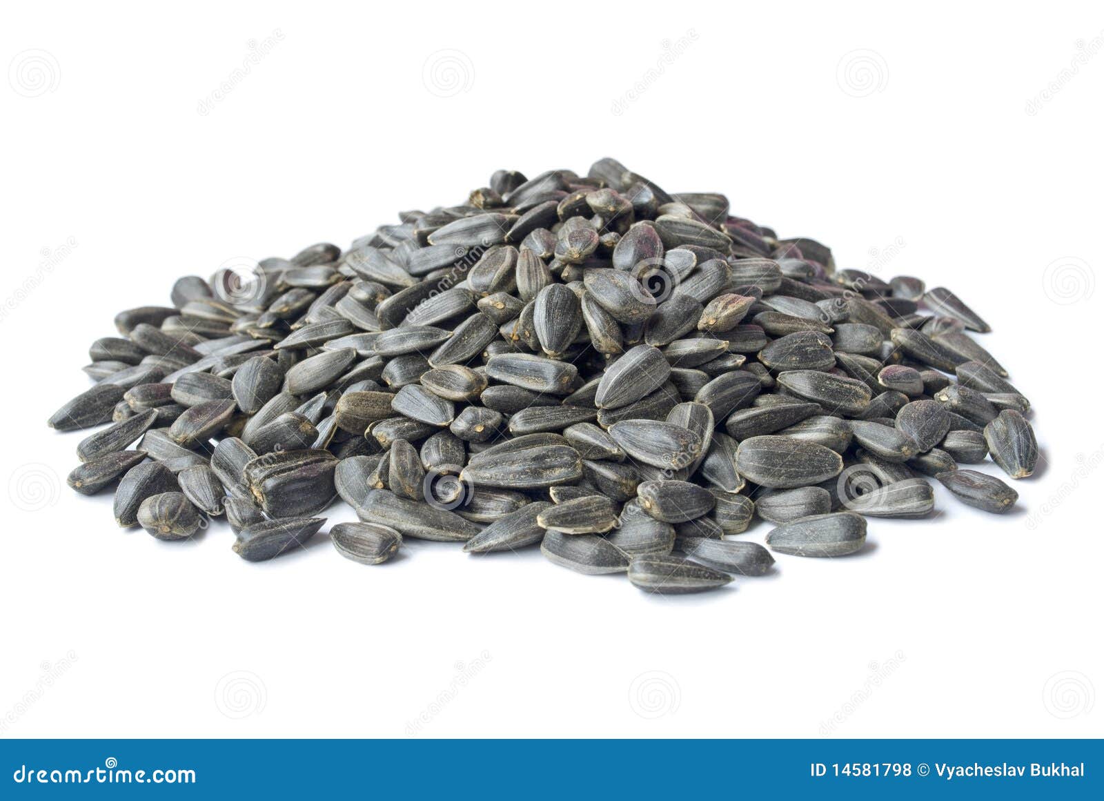 Pile Of Sunflower Seeds Isolated Over White Royalty Free Stock Photos