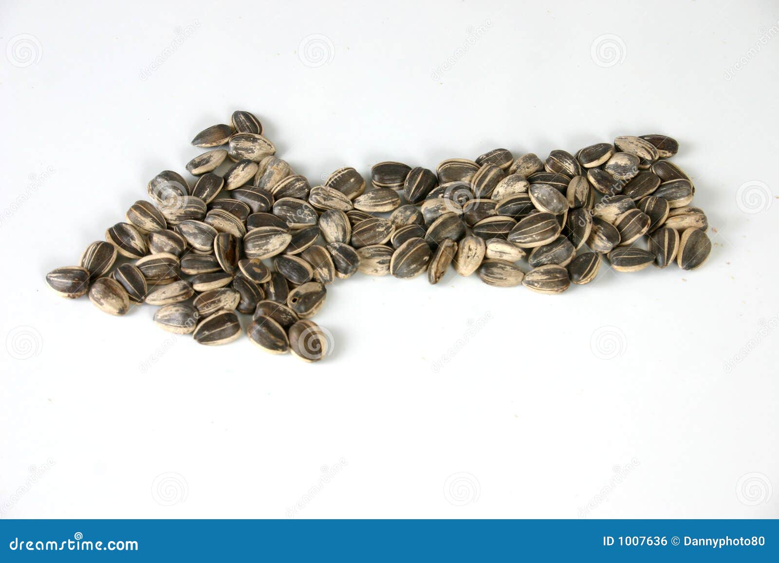 Pile of Sunflowers Seeds in Arrow Stock Photo Image of seedling