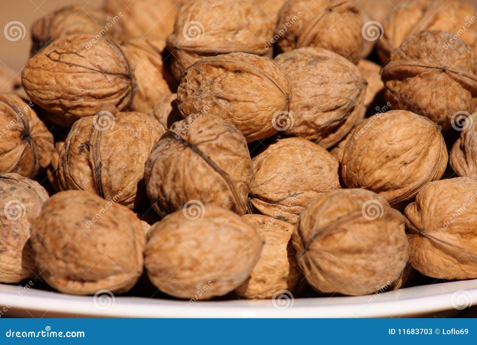 Pile of walnuts stock image. Image of piled, pile, isolated 11683703