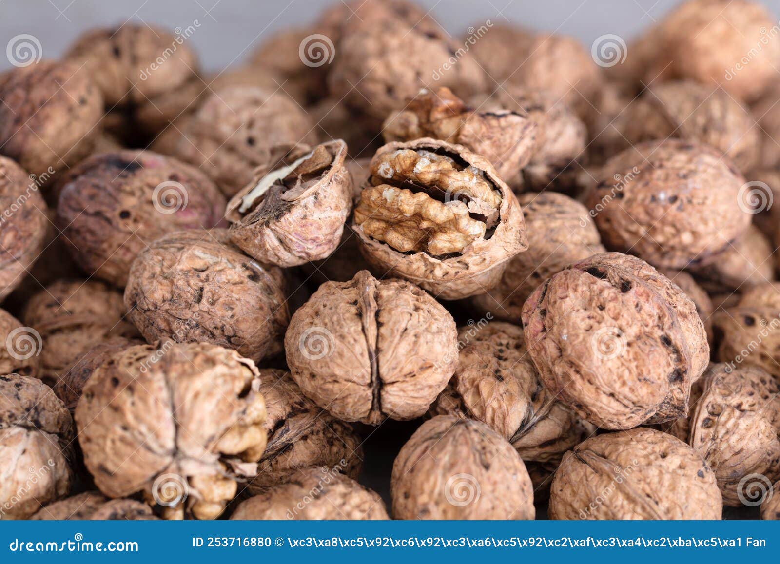 A pile of walnuts closeup stock photo. Image of object 253716880