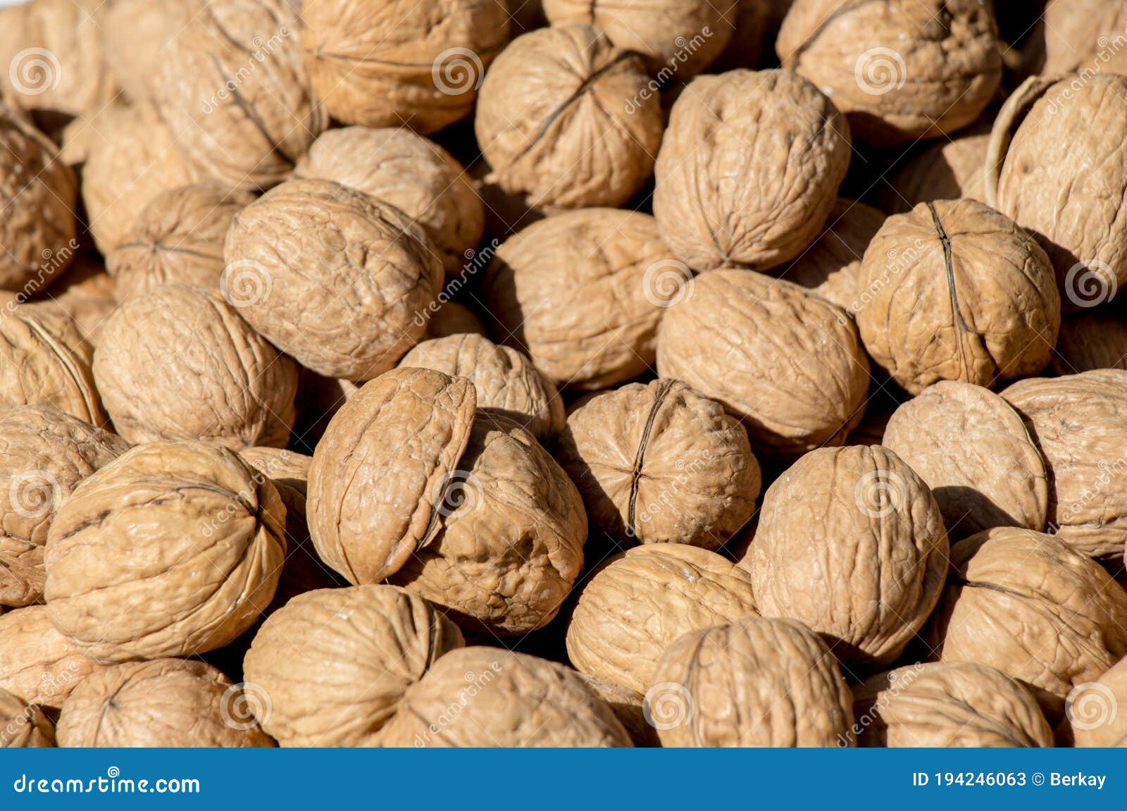 Pile of Whole Walnuts with Hard Nutshells Stock Image Image of