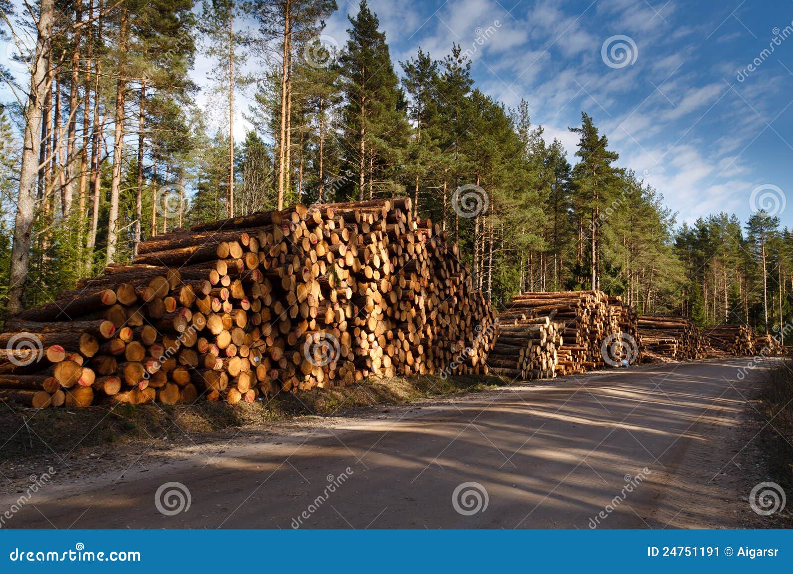 A big pile of wood in a forest road