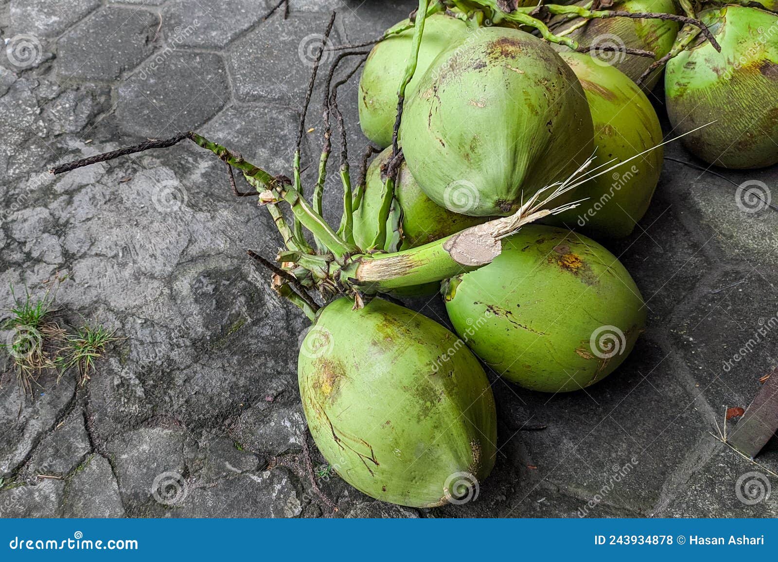 Pile of Young Coconuts on the Floor Stock Photo - Image of leaf, berry ...