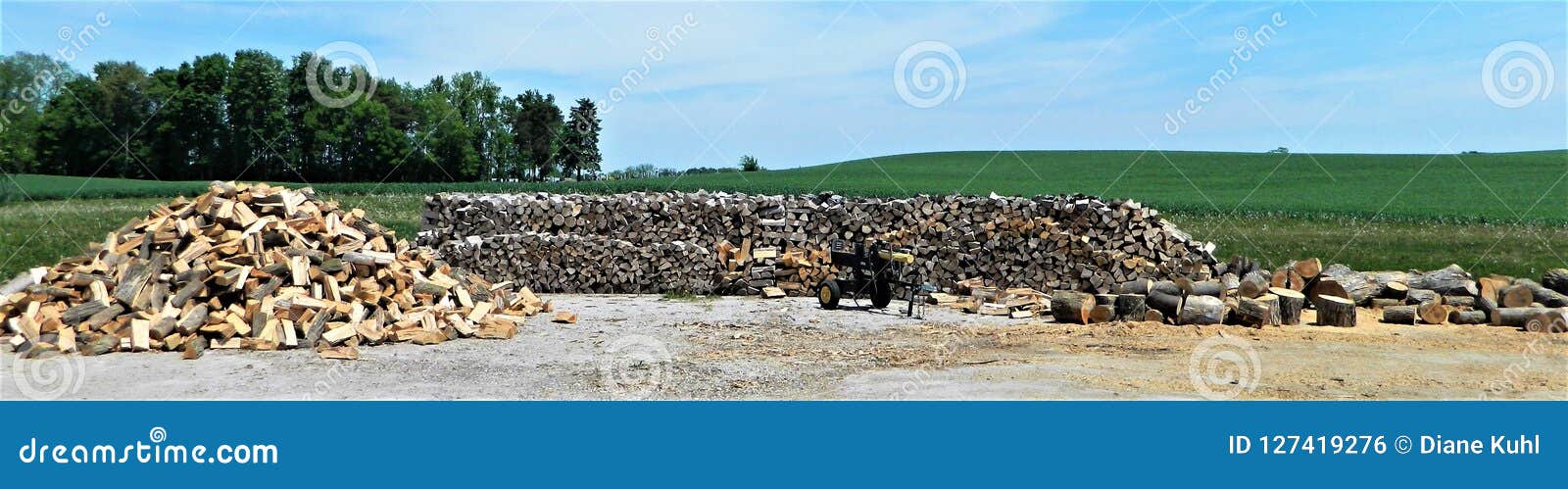 wood pile, wood splitter and heap of wood