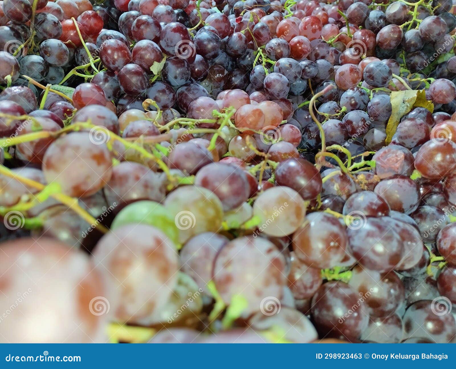 Piles and Clusters of Grapes Stock Image Image of pile, harvest