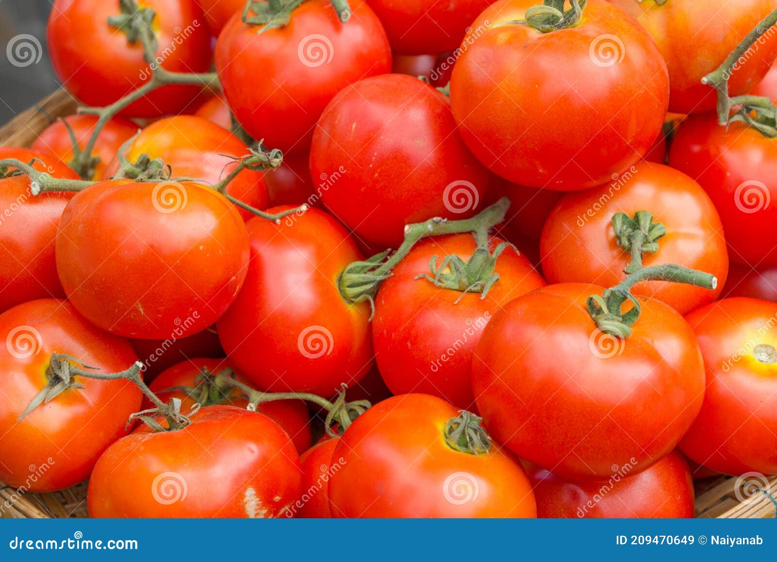 Piles of fresh tomato stock image. Image of vegetarian 209470649