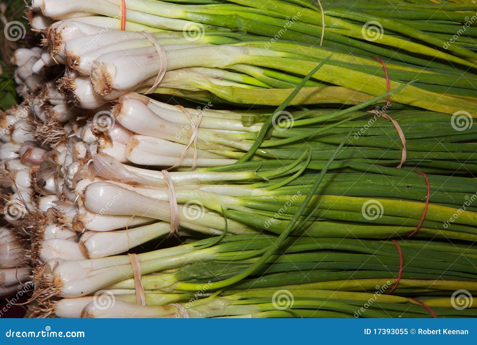 Piles of green onions stock image. Image of seasoning 17393055