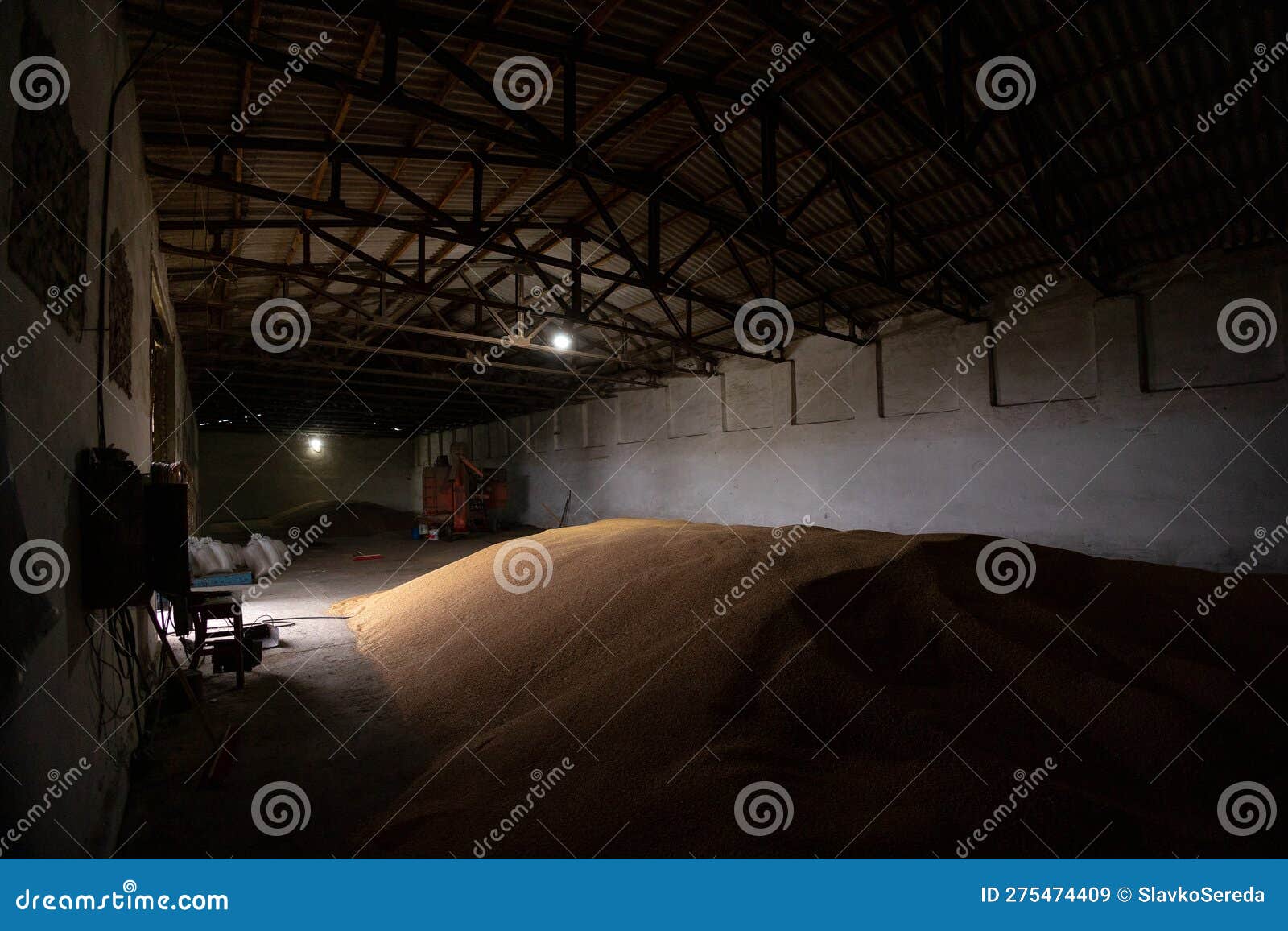 Piles of Wheat Grains at Mill Storage or Grain Elevator. the Main