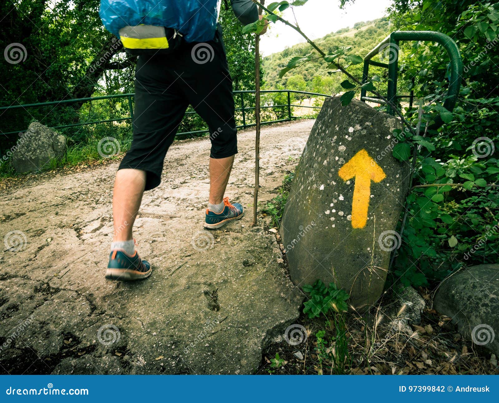 pilgrimage at camino de santiago