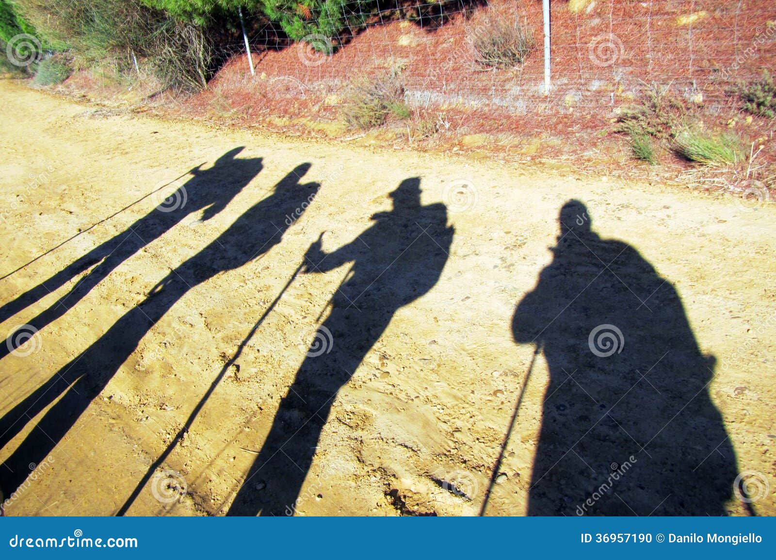 pilgrims shadows