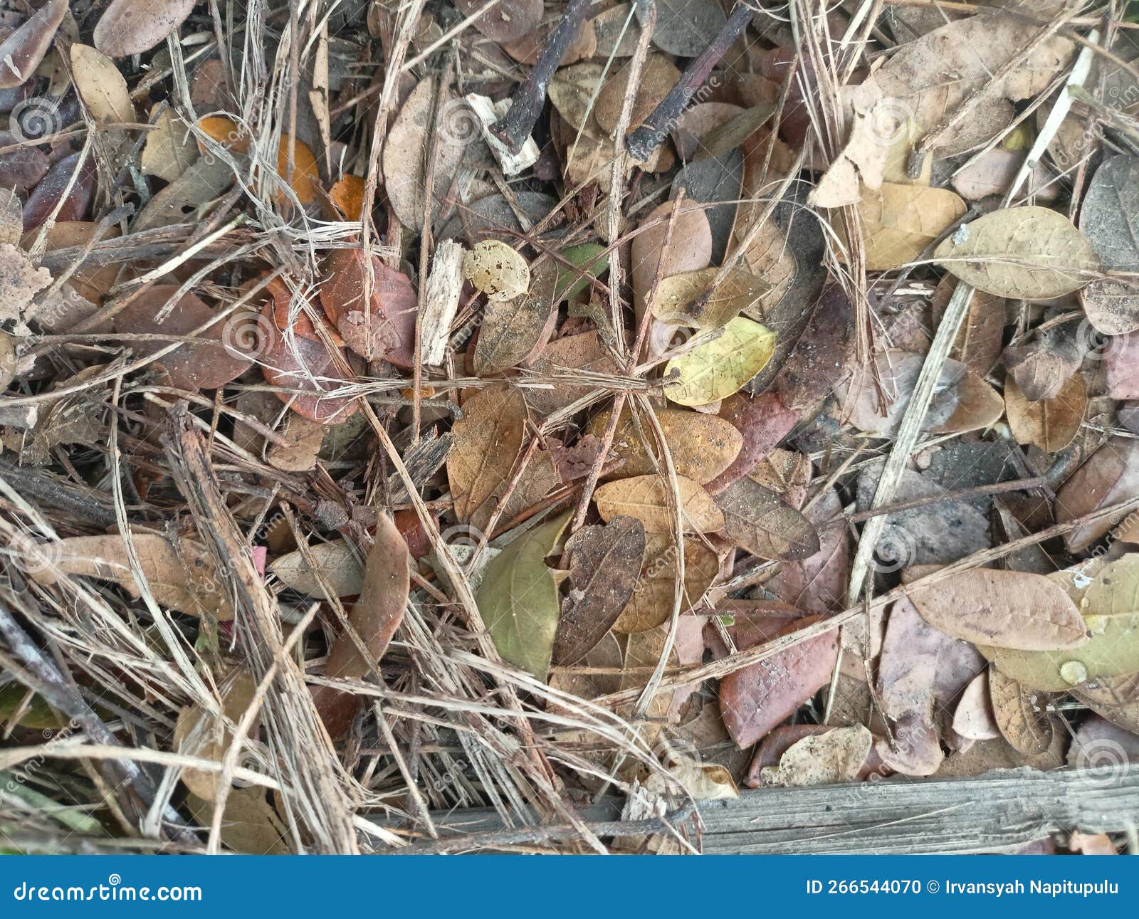 QVC SBS Powerbank universale 20W Promozione | Casa e giardino |  ccfpjamaica.com, image size:1600x1291