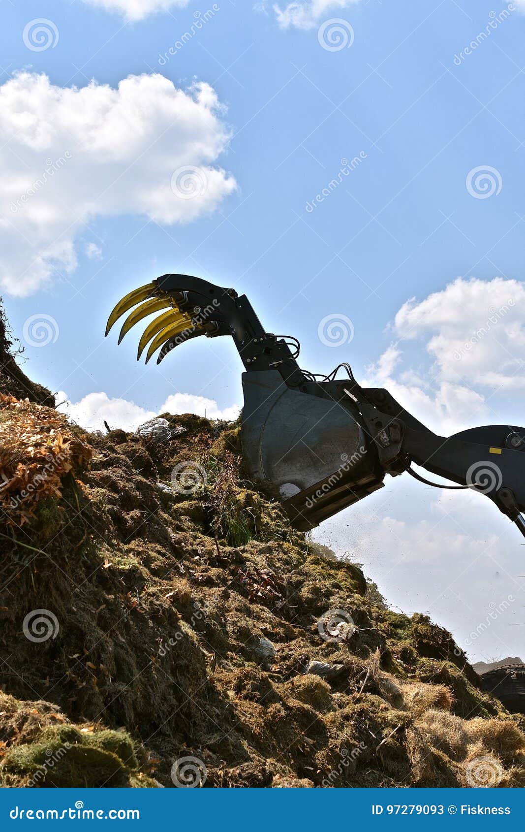 Piling Grass Trimmings into the Compost Pile Stock Image Image of