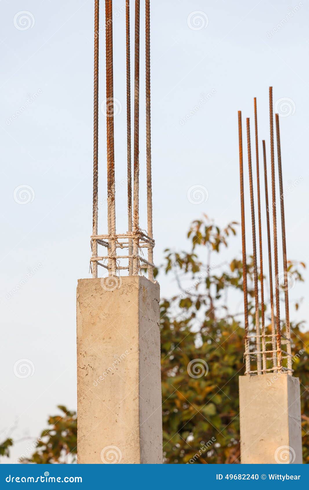 Pillar Cement with Steel Rod in Construction Site Stock Photo Image