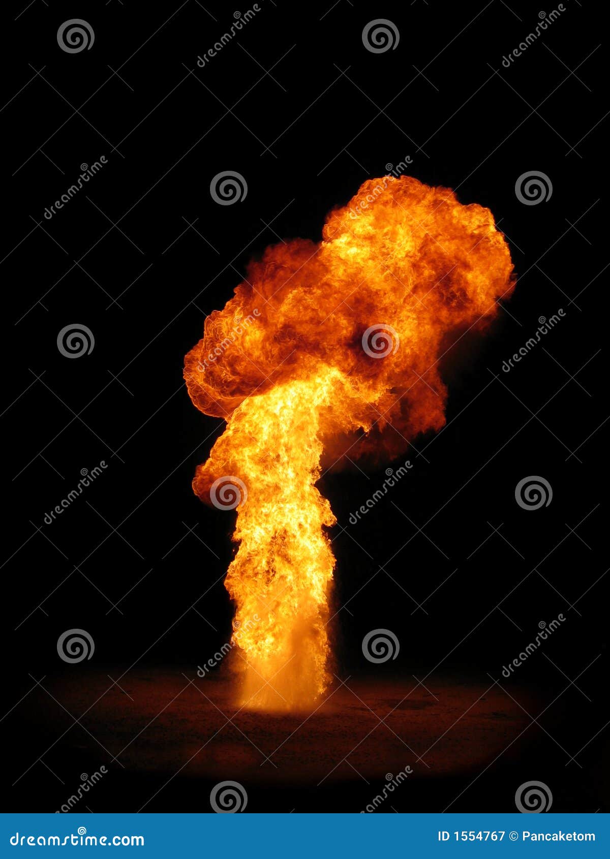 pillar of fire taylor branch pillar of fire taylor branch