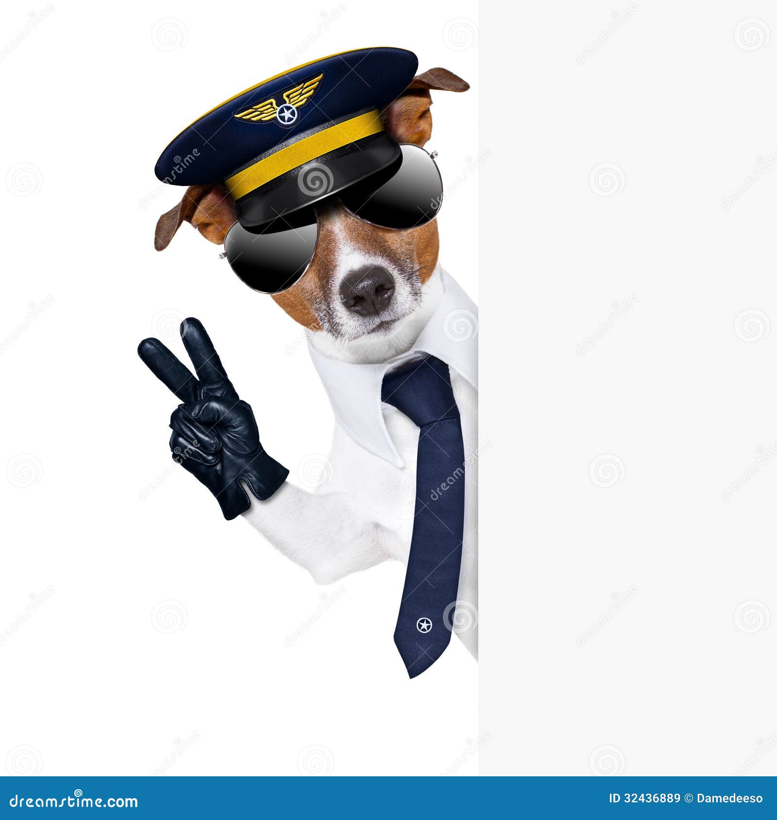 Pilot dog stock image. Image of arrival, humor, journey 32436889