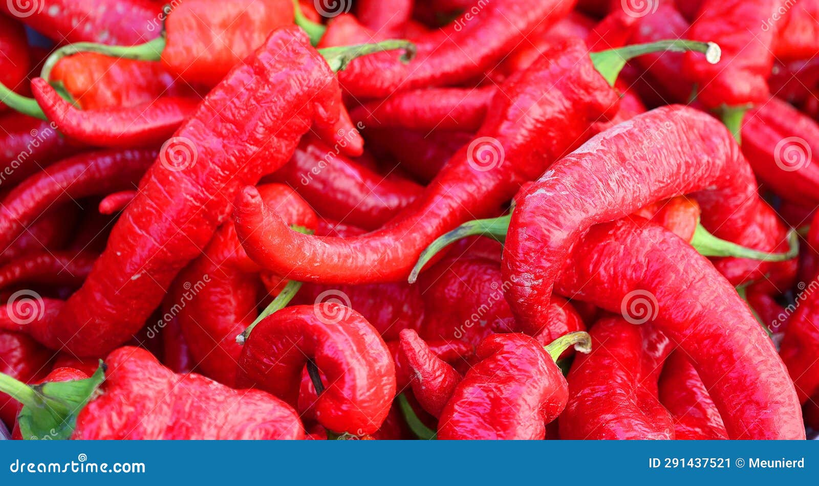 pimientos choriceros, dry hot guindilla peppers