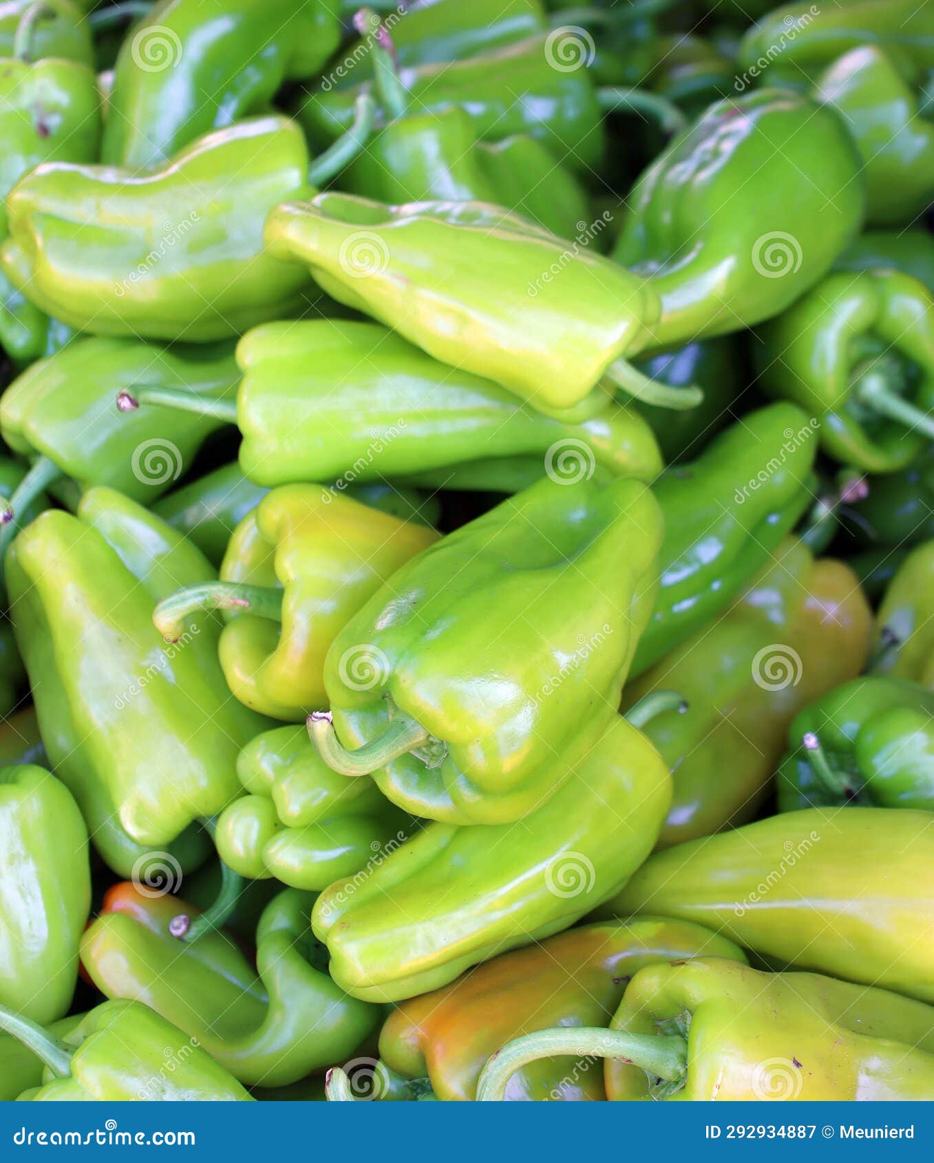 pimientos choriceros, dry hot guindilla peppers,