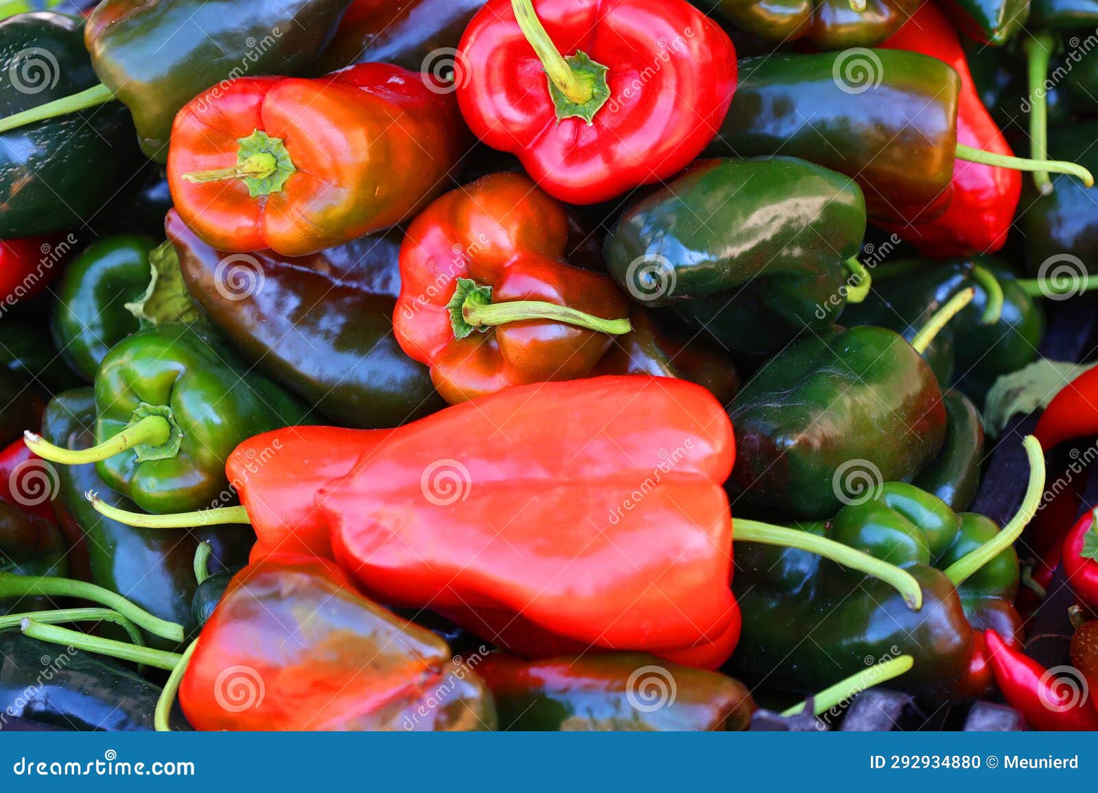 pimientos choriceros, dry hot guindilla peppers,