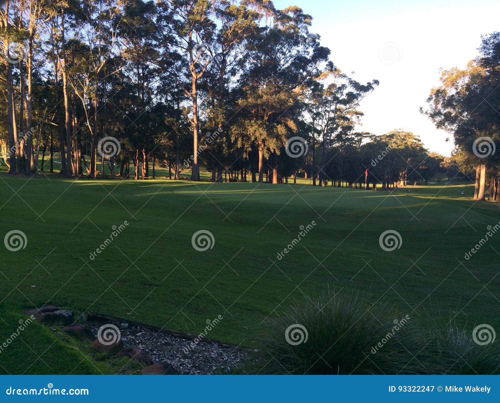 Pin high stock image. Image of golf, green, grass, high 93322247