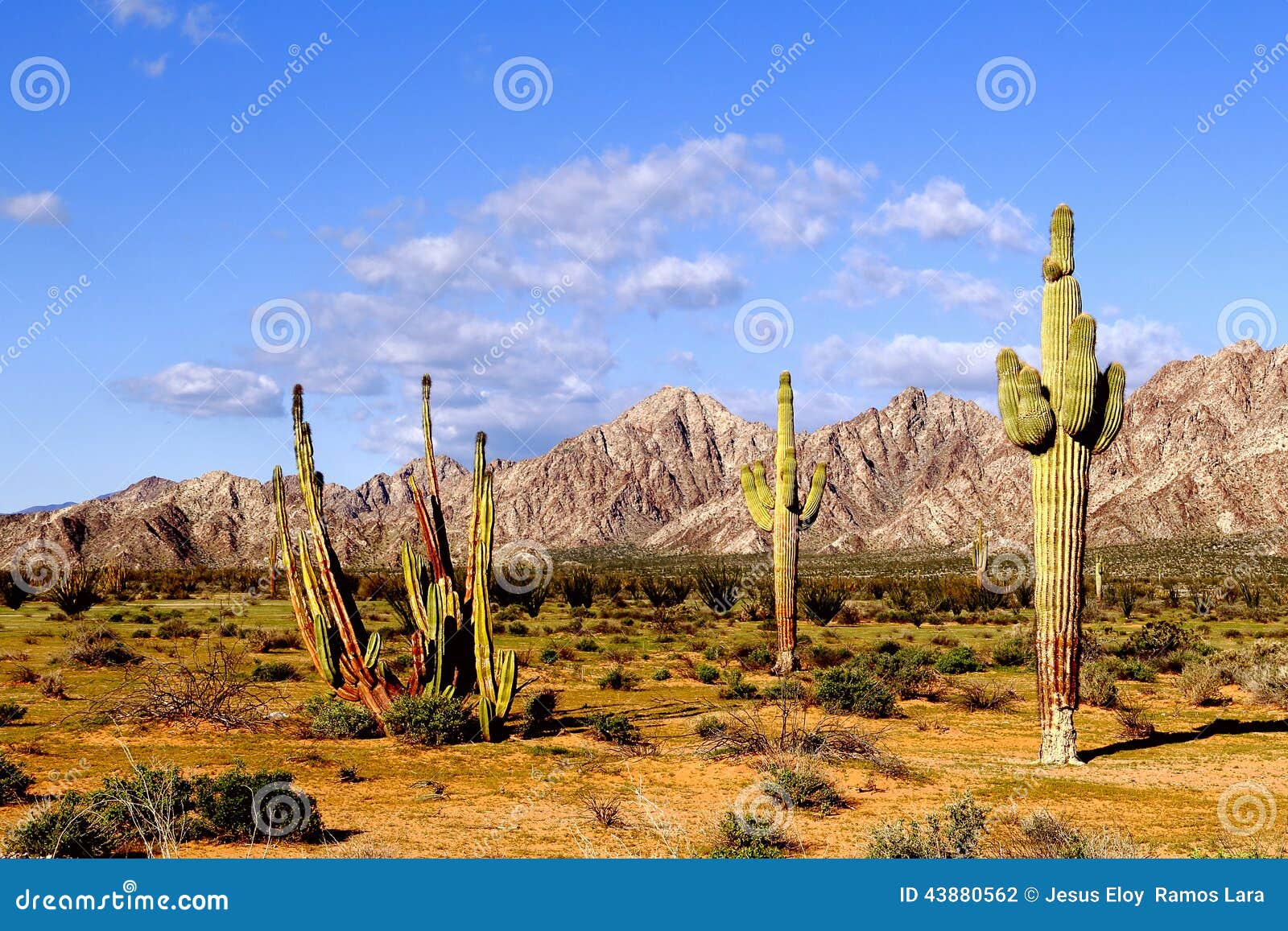 desert of pinacate park near puerto peÃÂ±asco, sonora, mexico vi